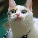 ХаськаМасяська